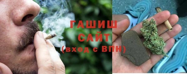 гидра Вяземский
