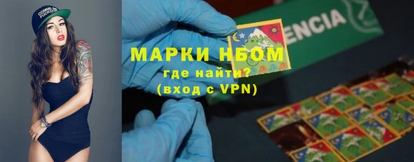 гидра Вяземский