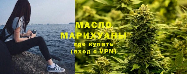 гидра Вяземский