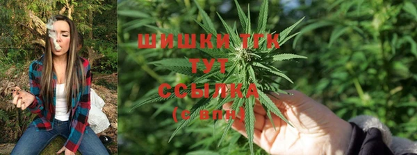 круглые Гусиноозёрск