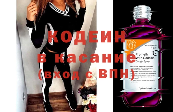 гидра Вяземский