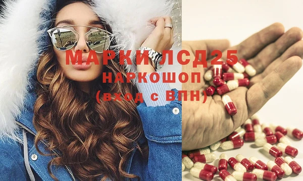гидра Вяземский