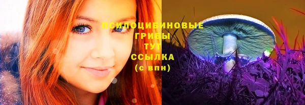 гидра Вяземский