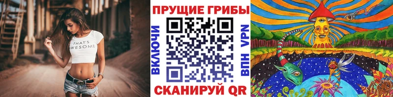 hydra рабочий сайт  Долинск  Псилоцибиновые грибы MAGIC MUSHROOMS 